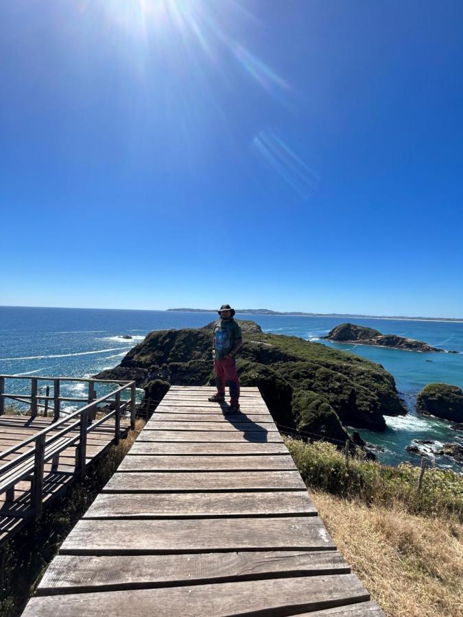 Hotel Purple Fox Ancud Esterno foto